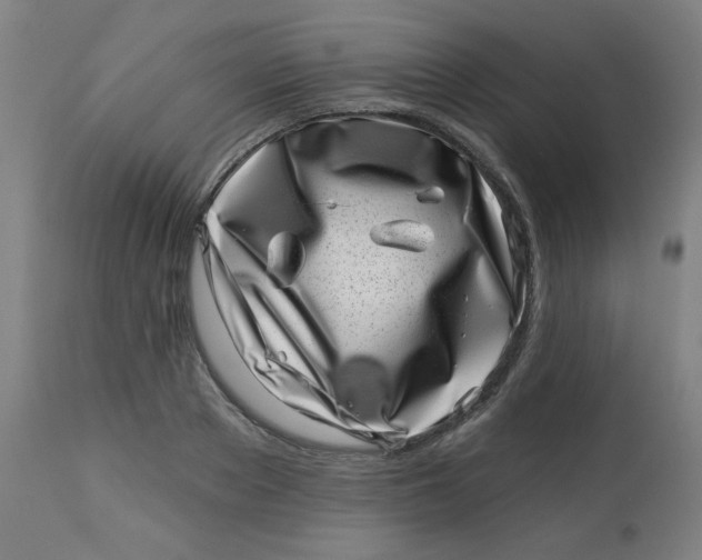 X0000113000889200909171403