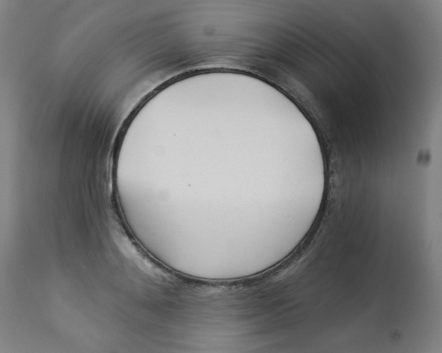 X0000113000892200909171403