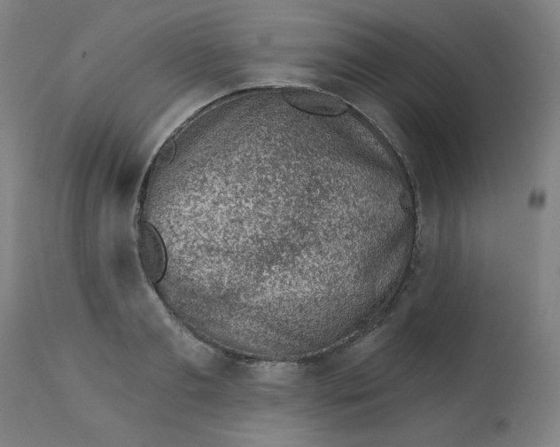 X0000113000893200909171403