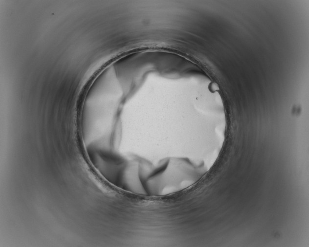 X0000113000894200909171403