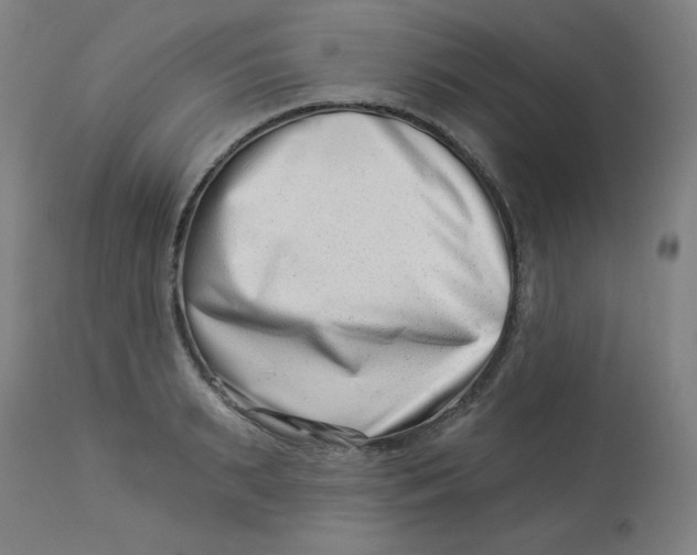 X0000113000895200909171403