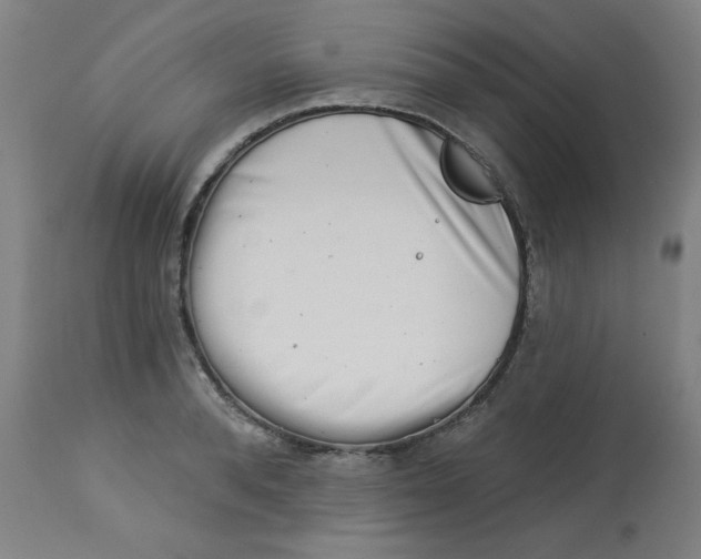 X0000113000896200909171403