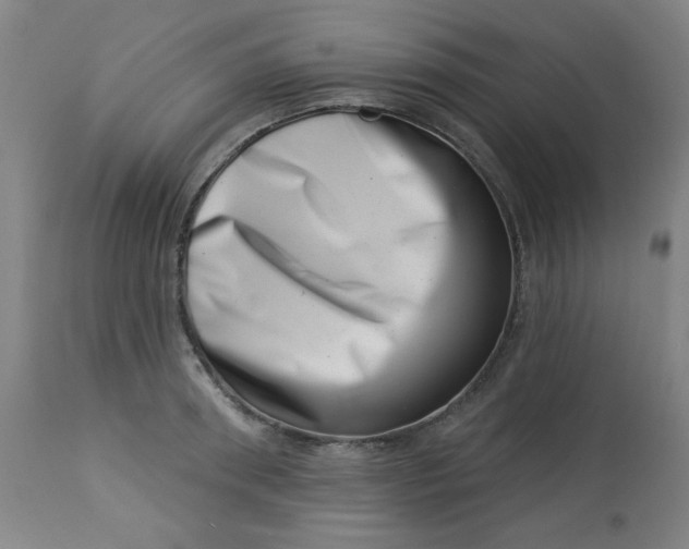 X0000113000898200909171403