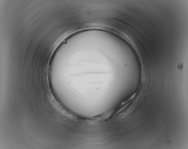 X0000113000899200909171403