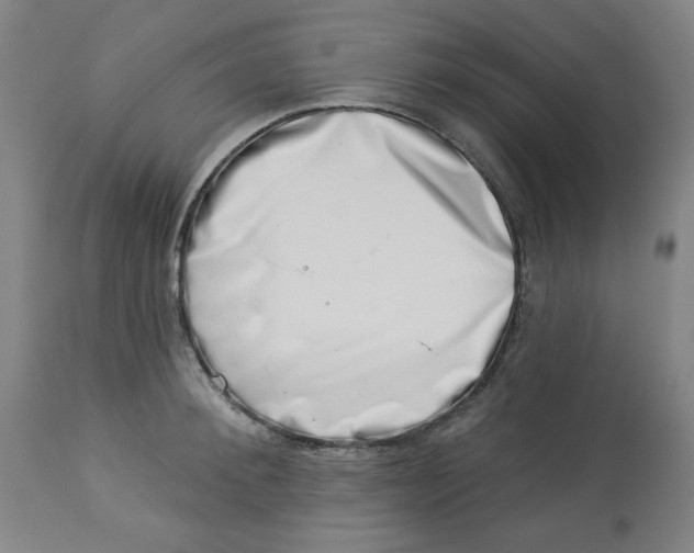 X0000113000900200909171403