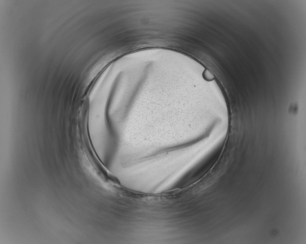 X0000113000906200909171403