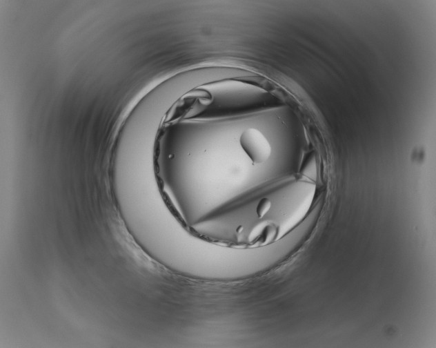 X0000113000908200909171403