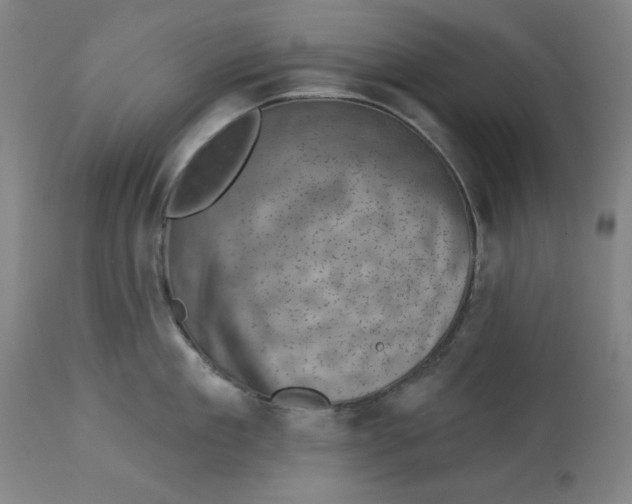 X0000113000909200909171403