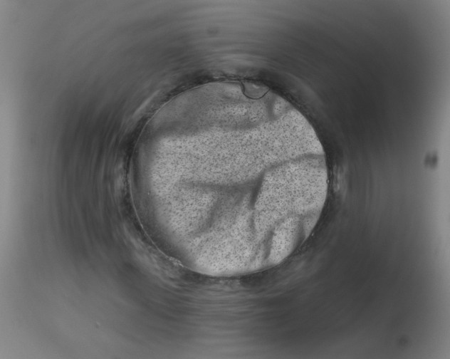 X0000113000915200909171402