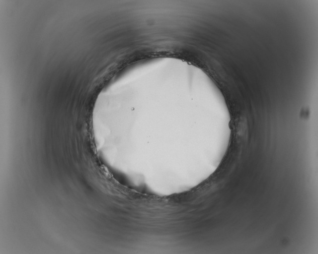 X0000113000916200909171402