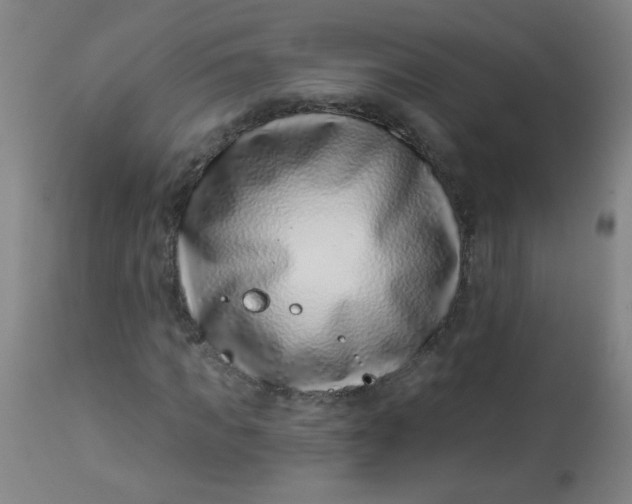 X0000113000917200909171402