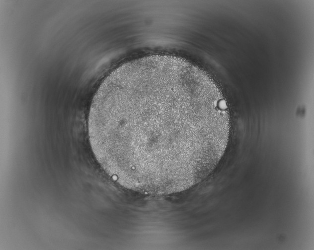 X0000113000918200909171402