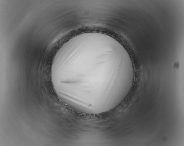 X0000113000919200909171402