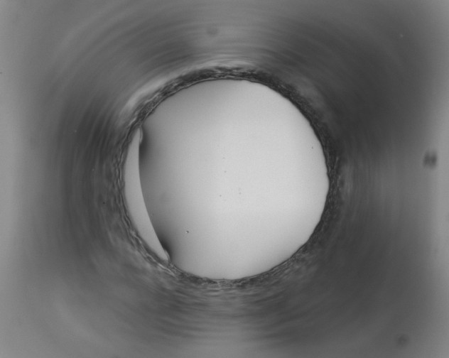 X0000113000920200909171402