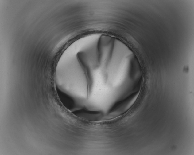 X0000113000922200909171402