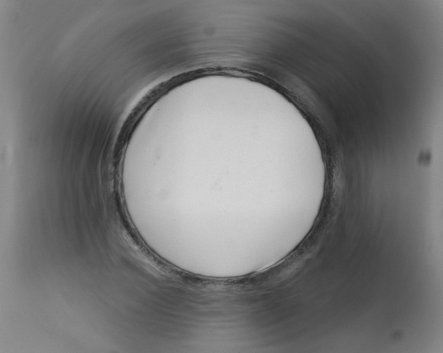 X0000113000924200909171403