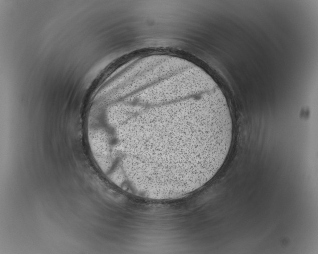 X0000113000927200909171403