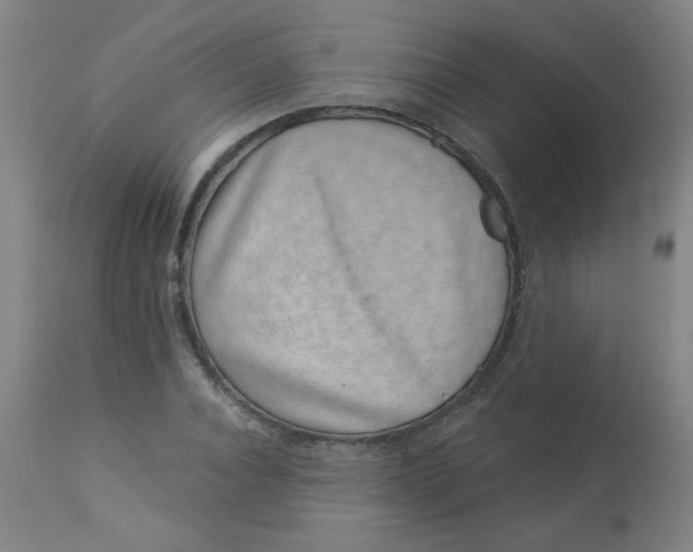 X0000113000928200909171403