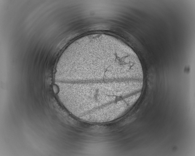 X0000113000929200909171403