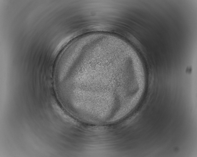 X0000113000930200909171403