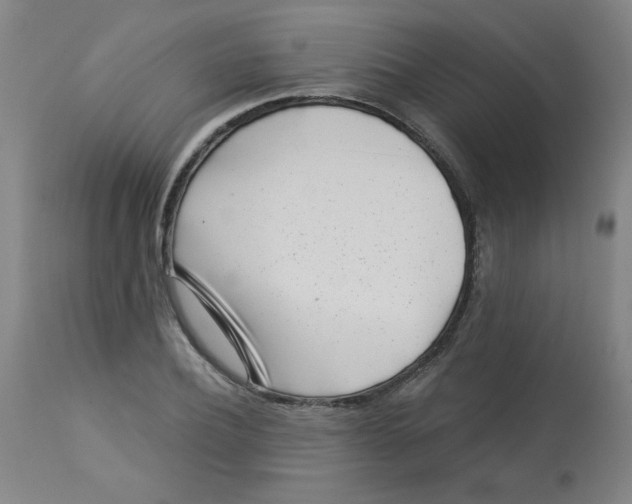 X0000113000932200909171403