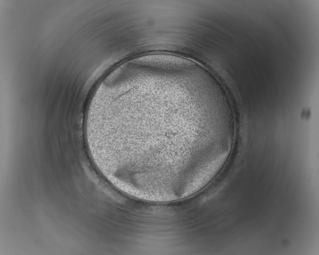 X0000113000933200909171403