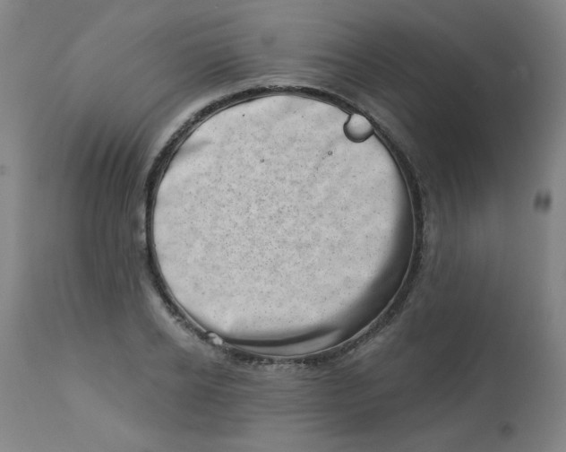 X0000113000934200909171403