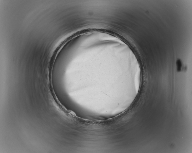 X0000113000935200909171403