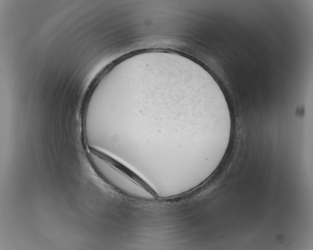 X0000113000936200909171403