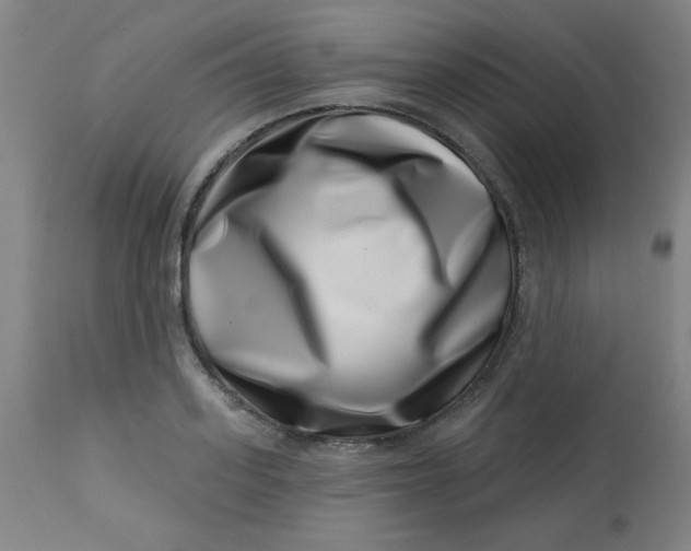 X0000113000939200909171403