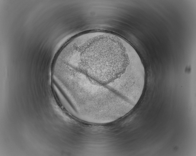 X0000113000940200909171403