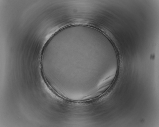 X0000113000941200909171403