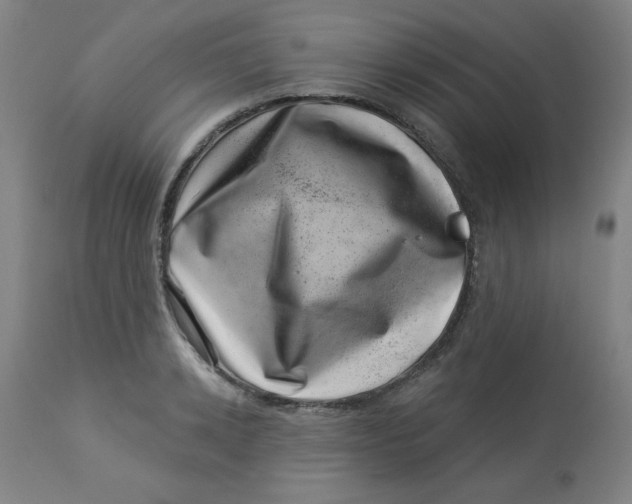 X0000113000942200909171403