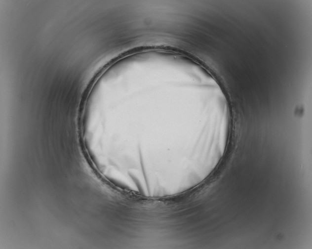 X0000113000943200909171403