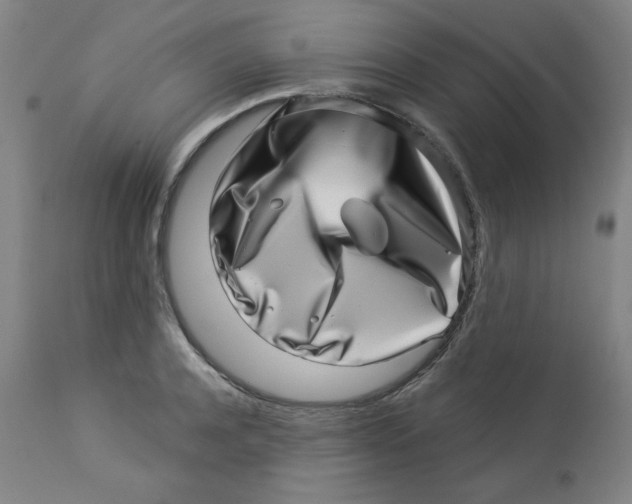 X0000113000944200909171403