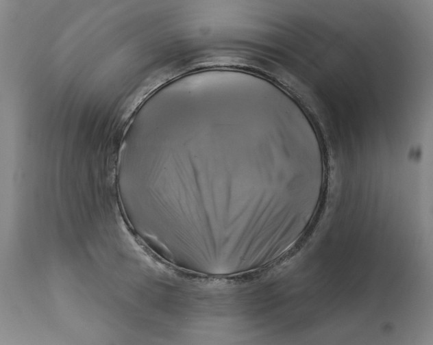 X0000113000945200909171403