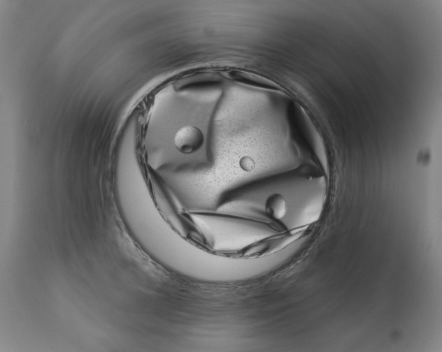 X0000113000948200909171403