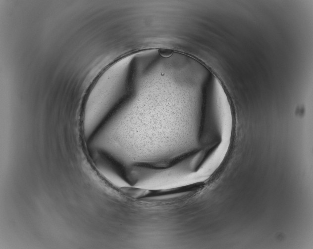 X0000113000949200909171403