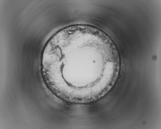 X0000113000950200909171403