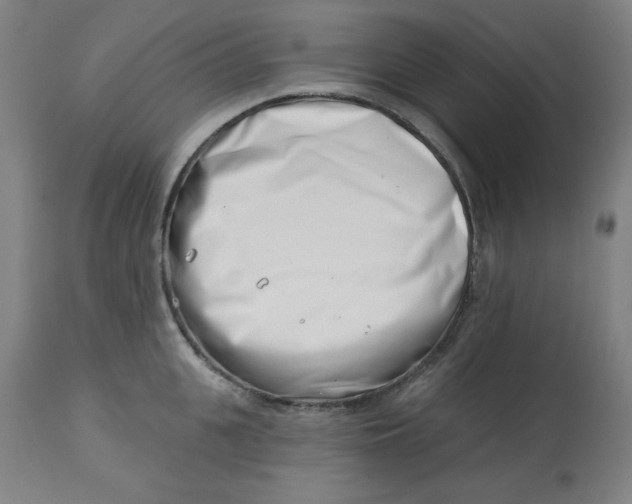 X0000113000951200909171403