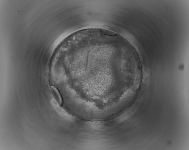 X0000113000952200909171403