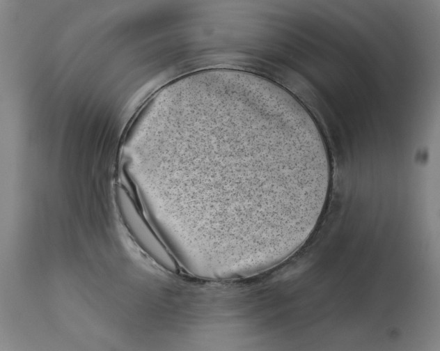 X0000113000954200909171403