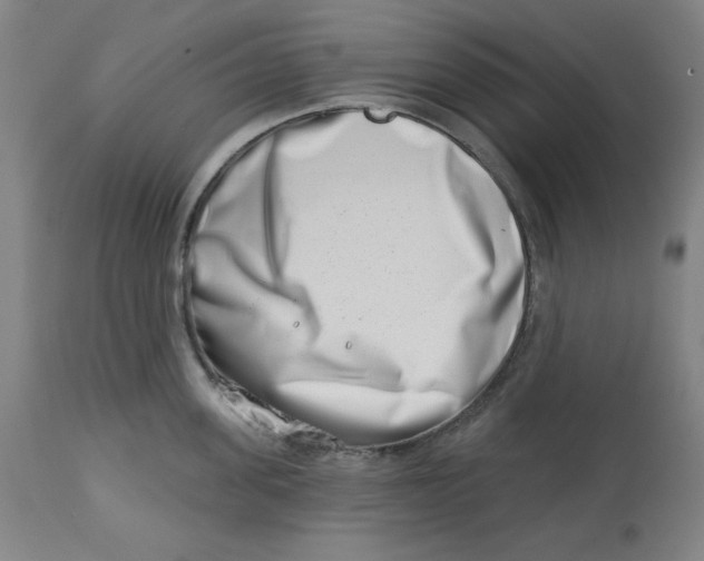 X0000113000955200909171403