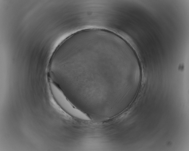 X0000113000958200909171403