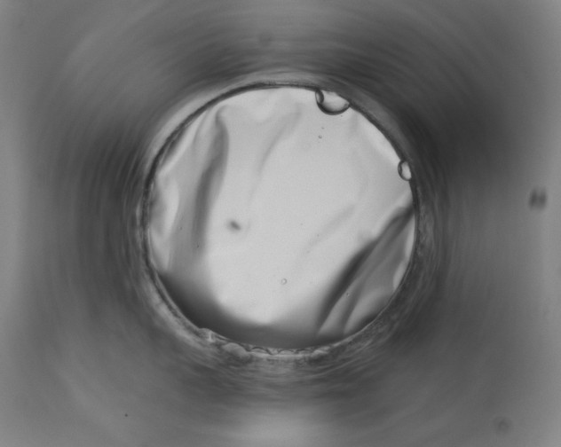 X0000113000959200909171403