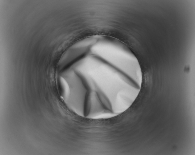 X0000113000963200909171402