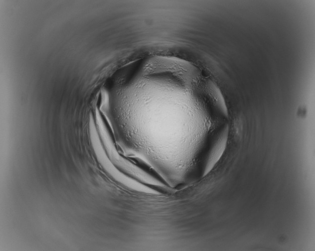 X0000113000964200909171402