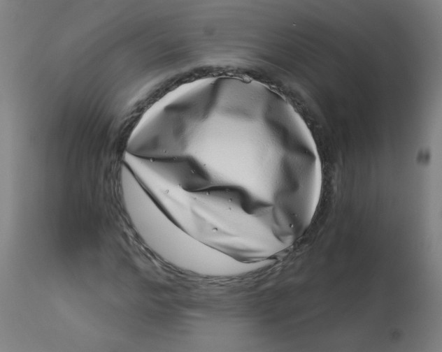 X0000113000968200909171402