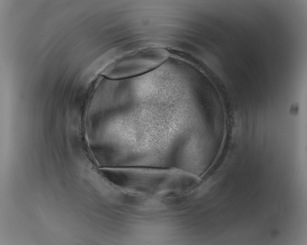 X0000113000969200909171402