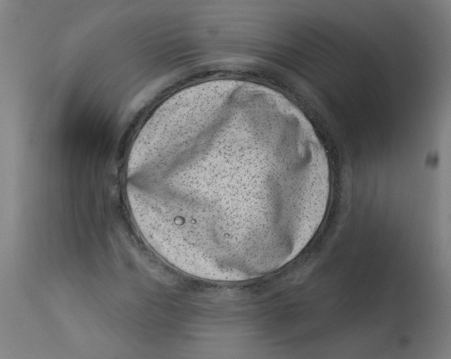 X0000113000970200909171402